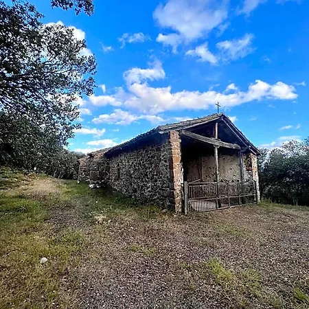 Basiver - Pico San Carlos