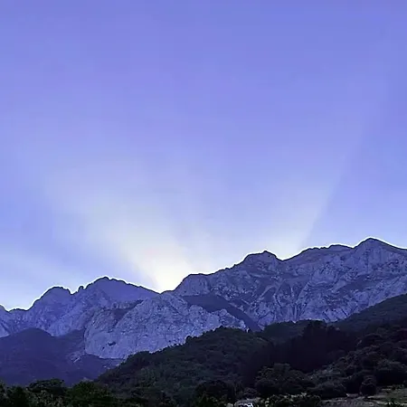 Basiver - Pico San Carlos *