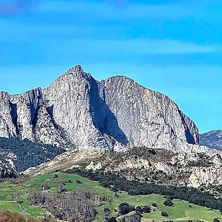 Basiver - Pico San Carlos Tama